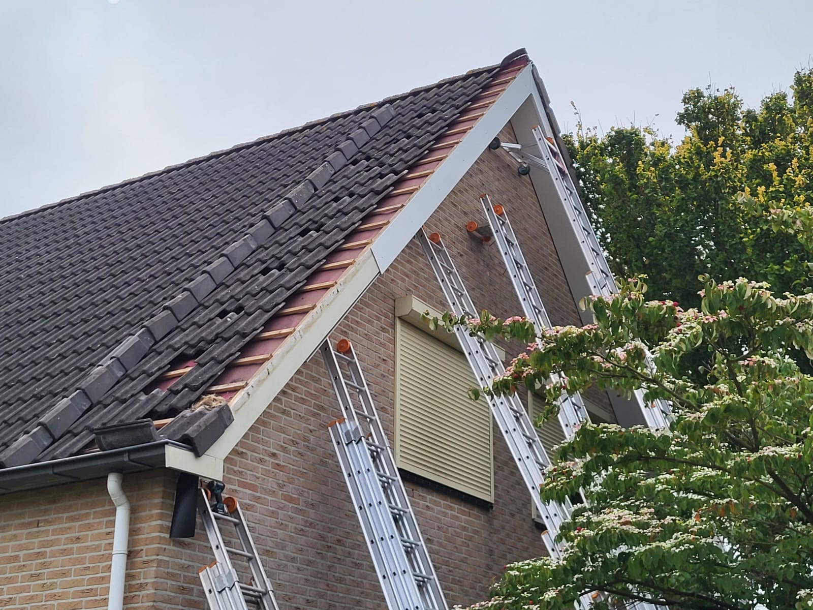 Dakkapellen Drenthe voert een verbouwing in Hoogeveen uit