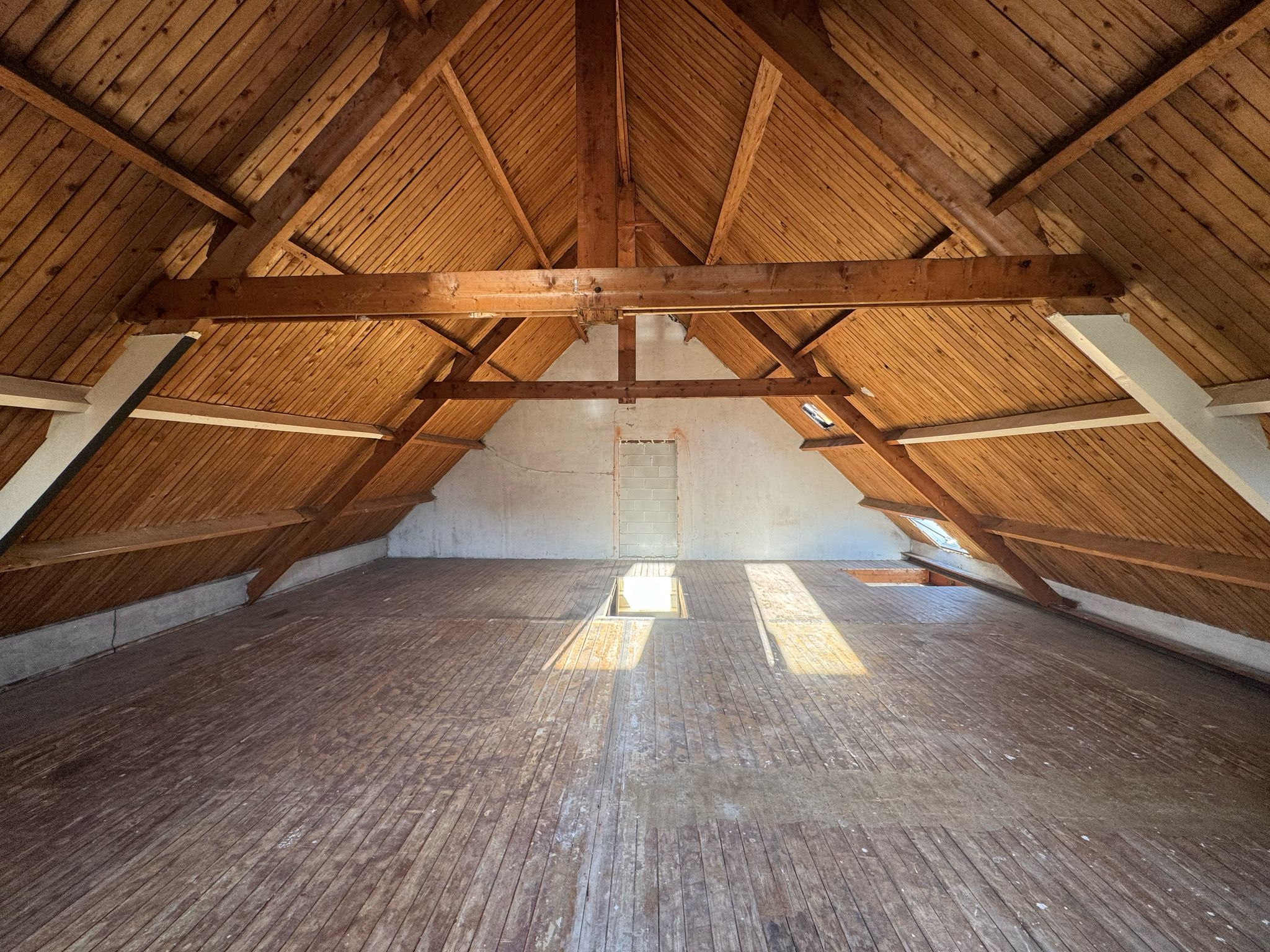 WhatsApp Image 2025-04-01 at 19.57.22 (1)