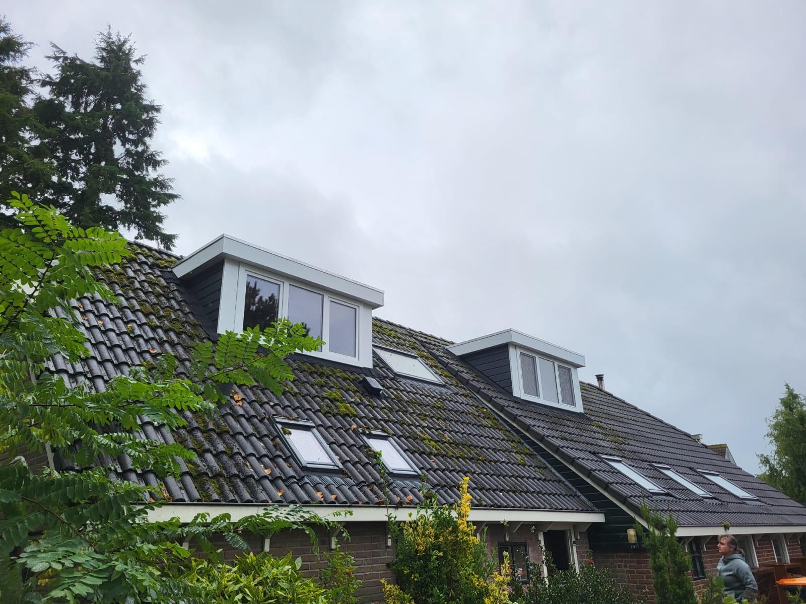 Dakkapel Hollandscheveld